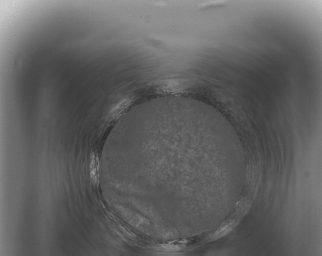 X0000081470624200701191807