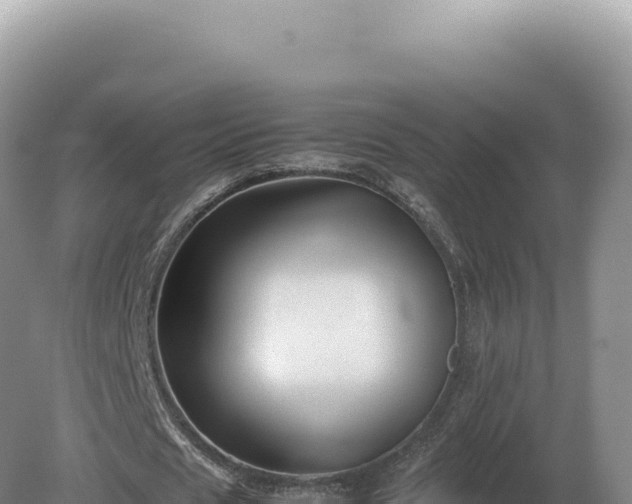 X0000081470625200701191806