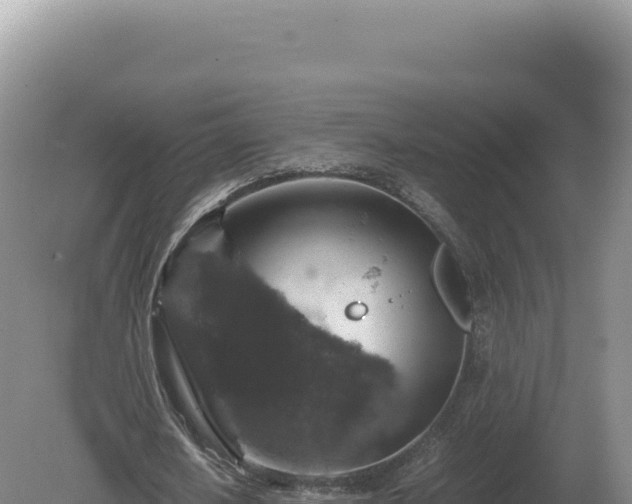 X0000081470626200701191806