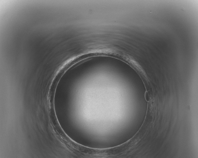 X0000081470628200701191806