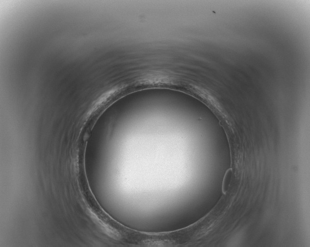 X0000081470629200701191806