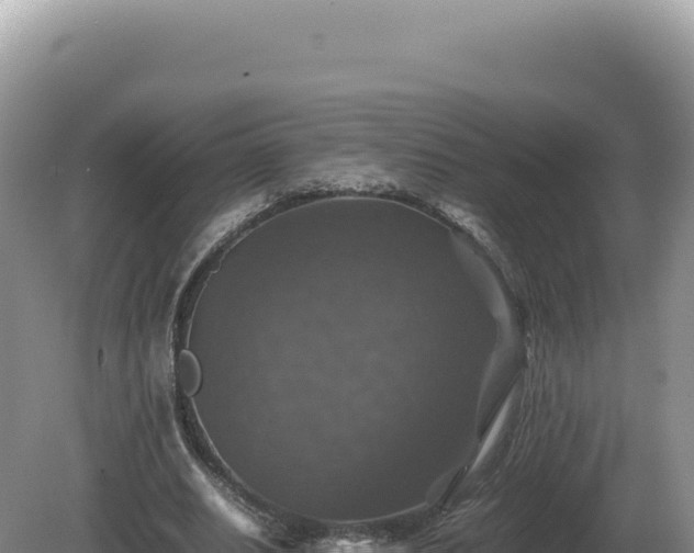 X0000081470630200701191806