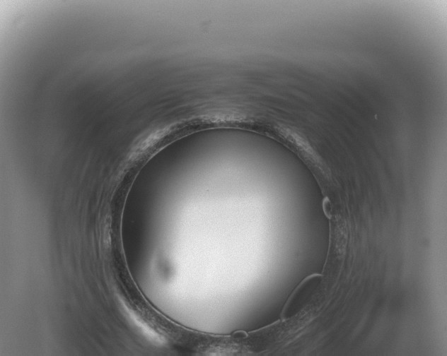 X0000081470631200701191806