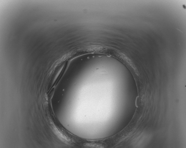 X0000081470633200701191807