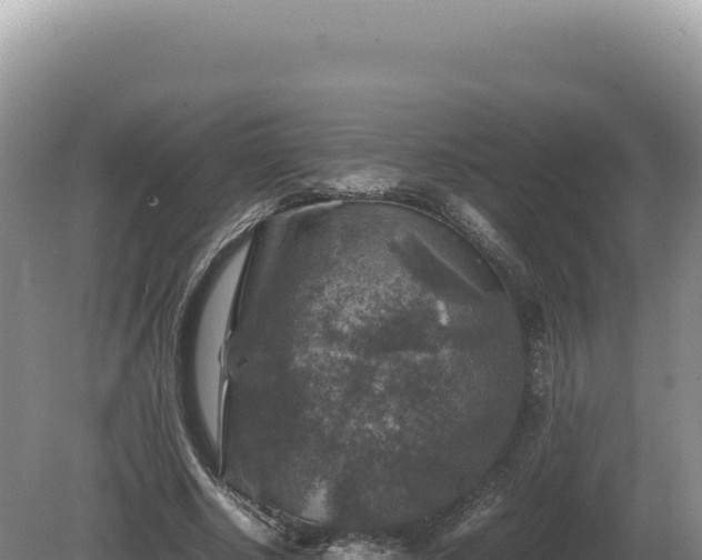 X0000081470634200701191807