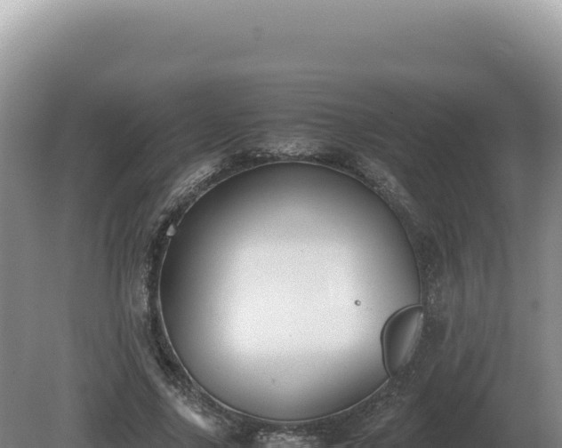 X0000081470635200701191807