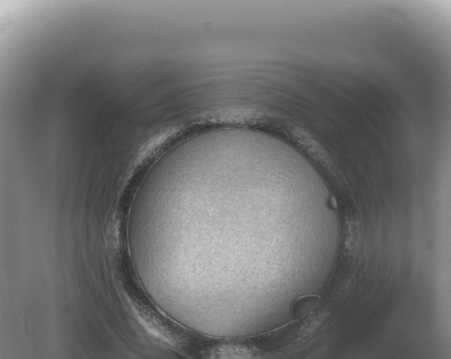 X0000081470636200701191807