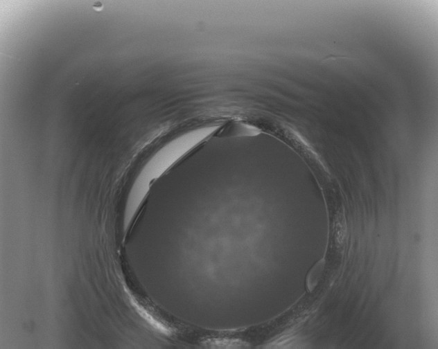 X0000081470637200701191807