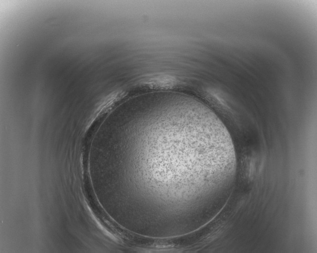 X0000081470638200701191807