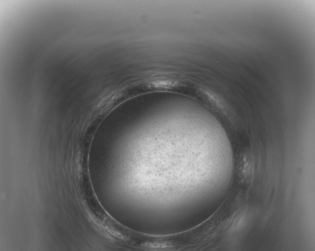 X0000081470639200701191807