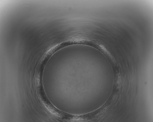 X0000081470640200701191807