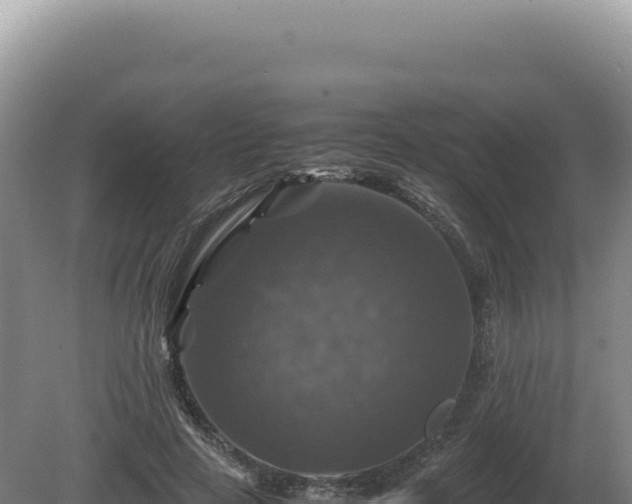 X0000081470641200701191807