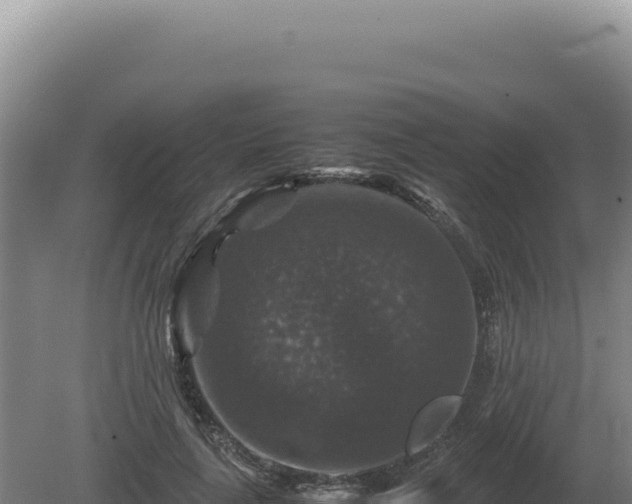 X0000081470643200701191807