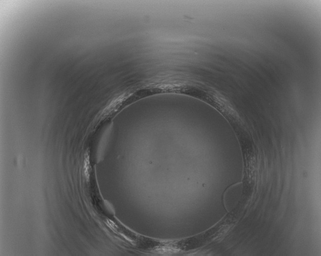 X0000081470644200701191807