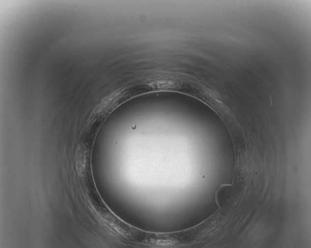 X0000081470645200701191807