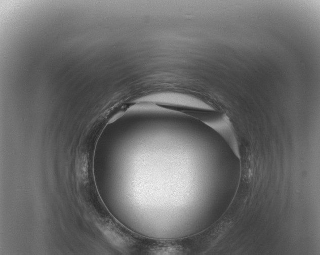 X0000081470646200701191807