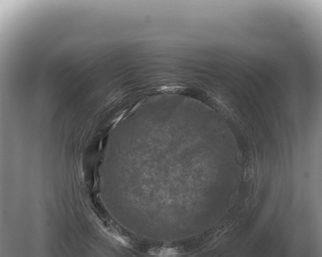 X0000081470647200701191807