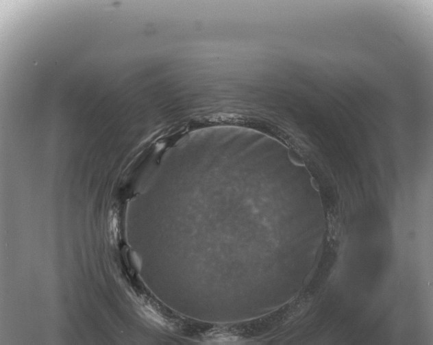 X0000081470648200701191807