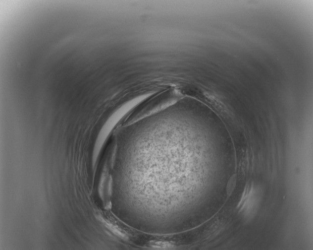 X0000081470649200701191807