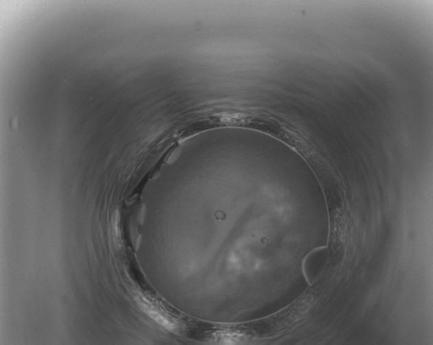 X0000081470650200701191807