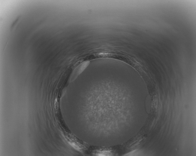 X0000081470651200701191807