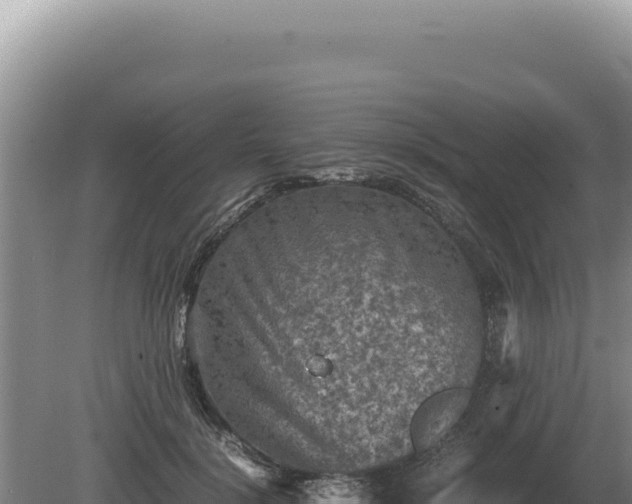 X0000081470652200701191807