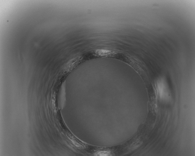 X0000081470653200701191807