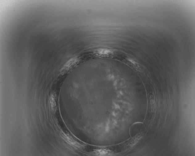 X0000081470654200701191807