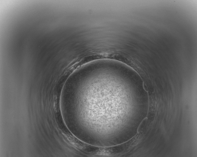 X0000081470656200701191807