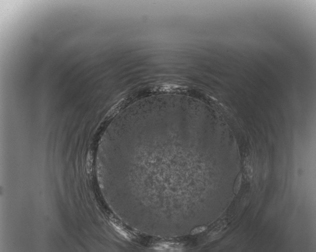 X0000081470657200701191807