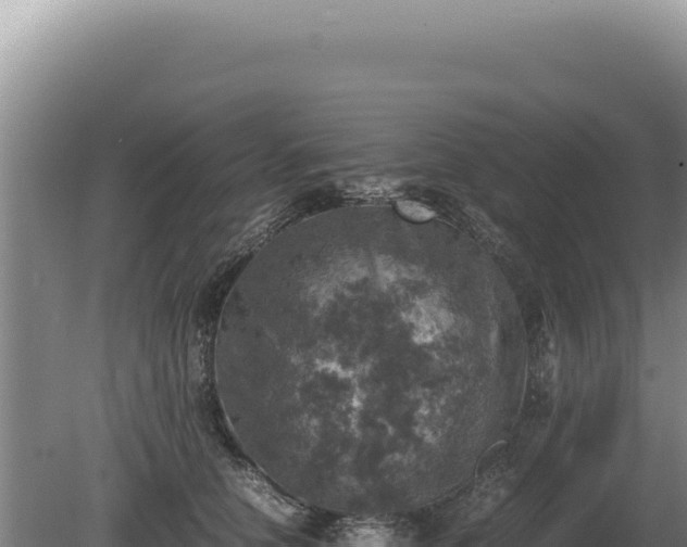 X0000081470658200701191807