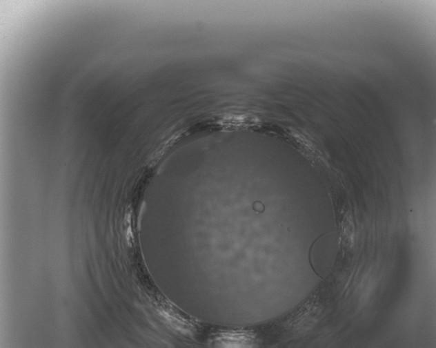 X0000081470659200701191807