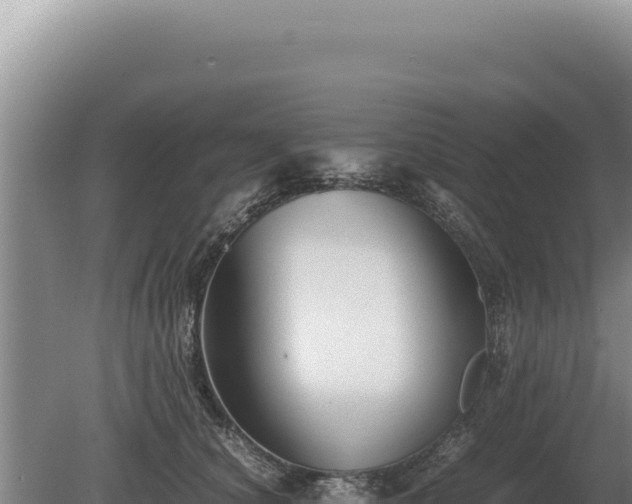 X0000081470660200701191807