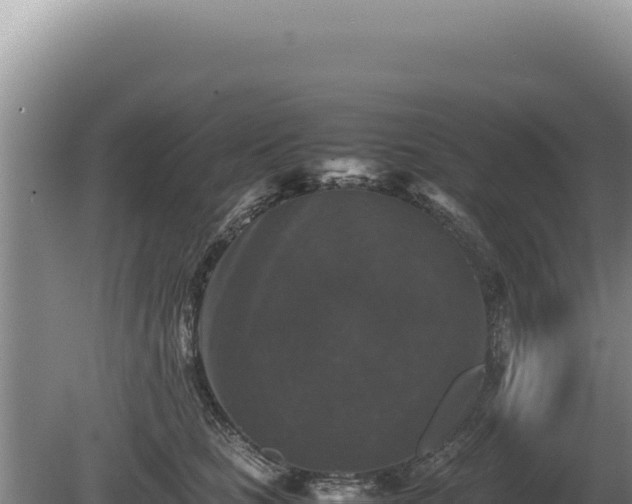 X0000081470661200701191807