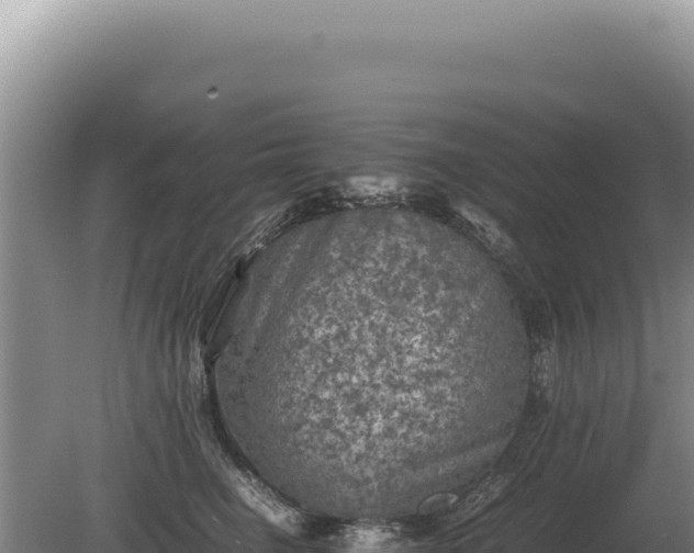 X0000081470662200701191807