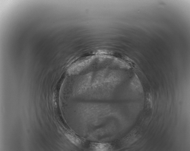 X0000081470663200701191807