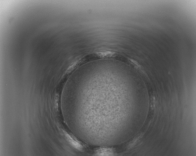 X0000081470664200701191807