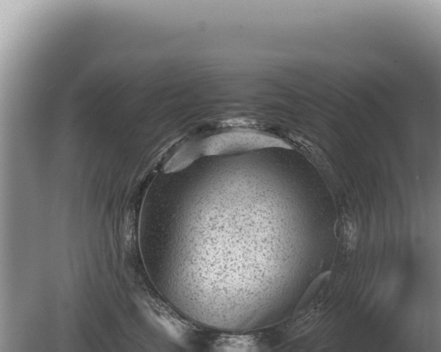 X0000081470665200701191807