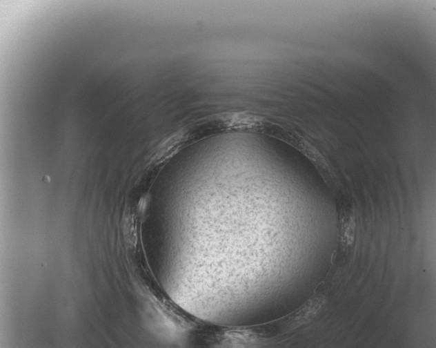 X0000081470666200701191807