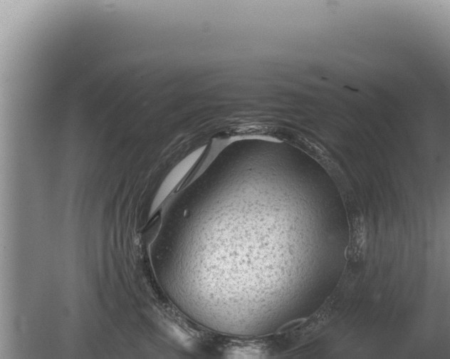 X0000081470667200701191807