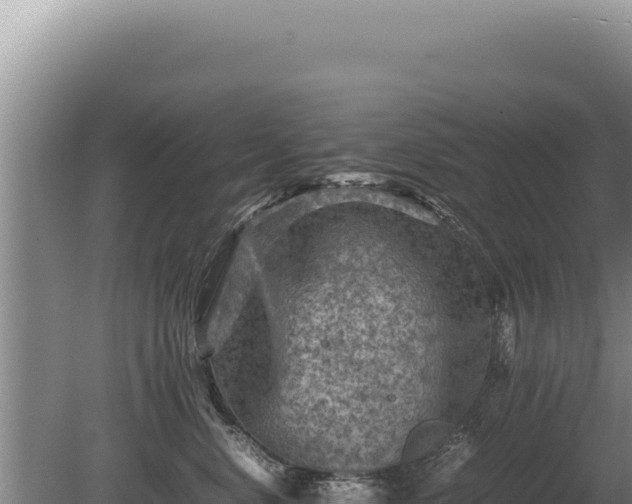 X0000081470668200701191807