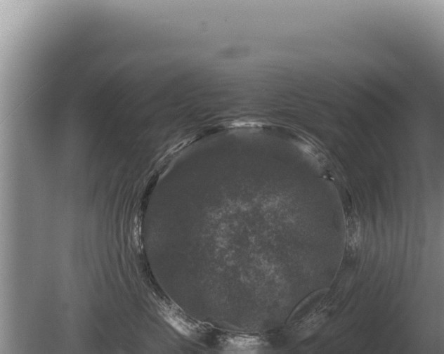 X0000081470669200701191807