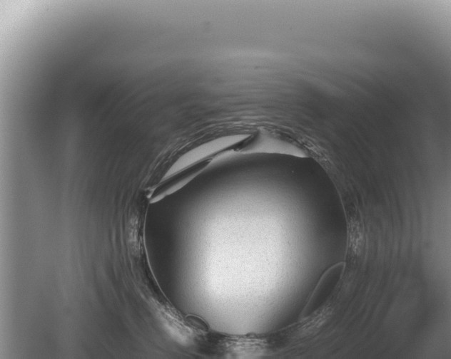 X0000081470670200701191807