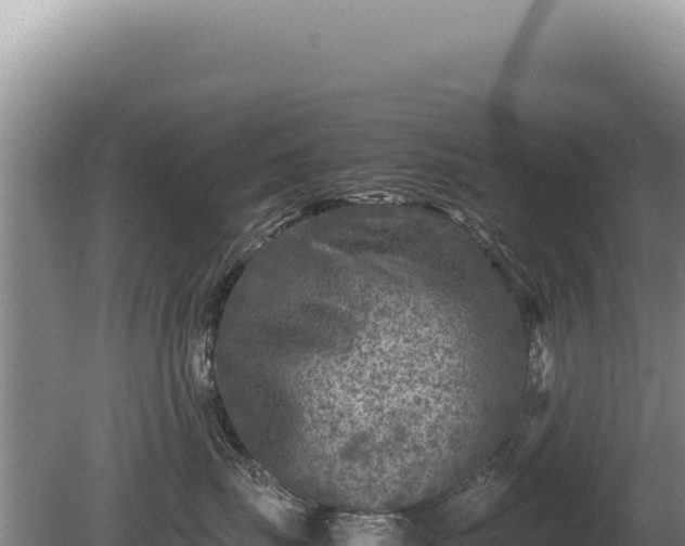 X0000081470671200701191807