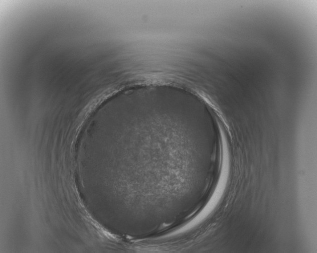 X0000081470673200701191806