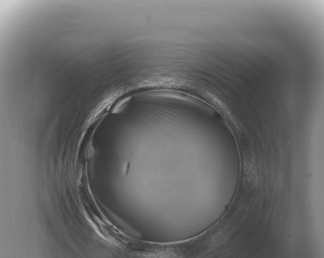 X0000081470674200701191806