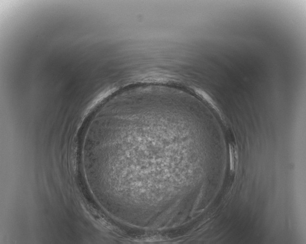 X0000081470675200701191806