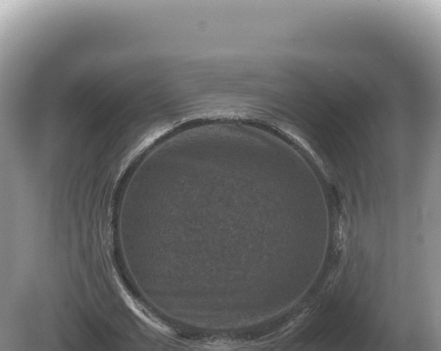 X0000081470677200701191806