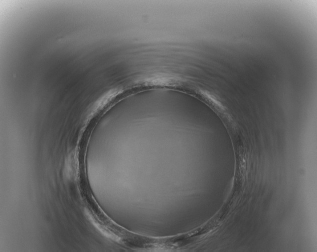 X0000081470678200701191806