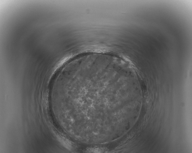 X0000081470679200701191806